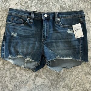 BlankNYC The Astor Size 29